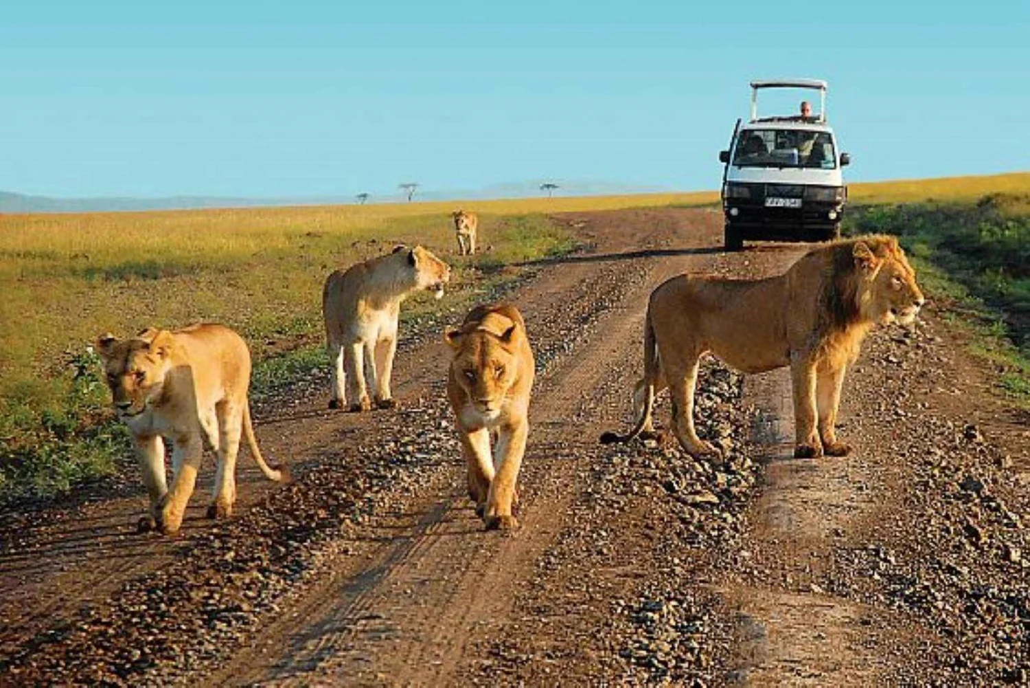 3-Day Tsavo East National Park & Taita Hills Wildlife Sanctuary Safari -  Galaxy Sky Travel & Tourism